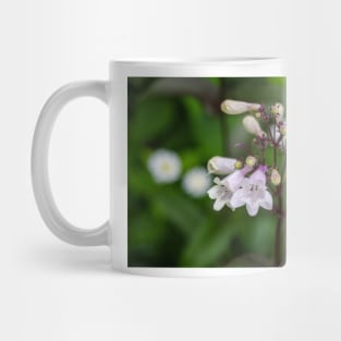 White bell clusters Talus Slope Penstemon Mug